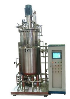 厭氧91麻豆免费在线视频