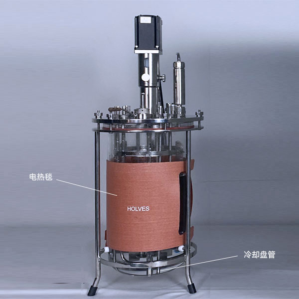 九一麻豆蜜臀(HOLVES)實驗91麻豆免费在线视频 九一麻豆蜜臀(HOLVES)實驗91麻豆免费在线视频