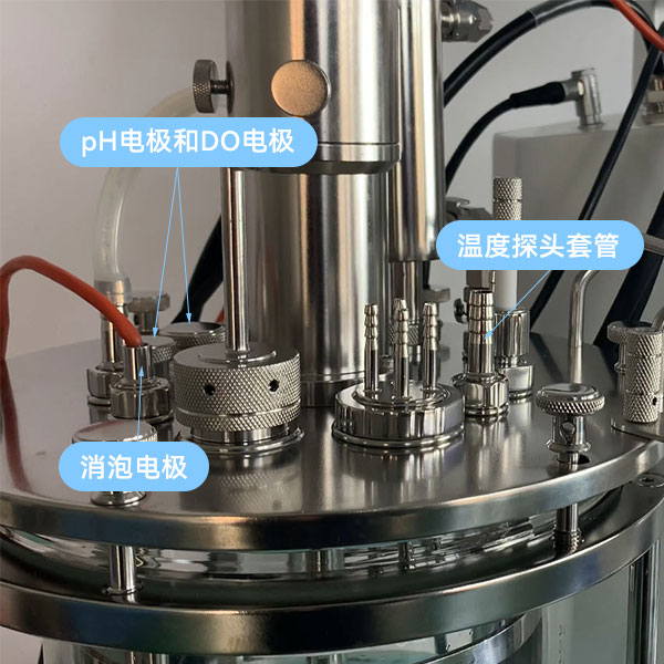 91麻豆免费在线视频傳感器 91麻豆免费在线视频傳感器